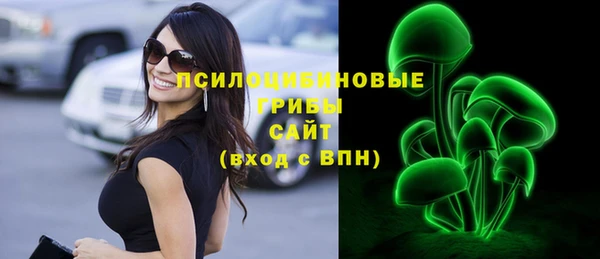 дурь Алексеевка