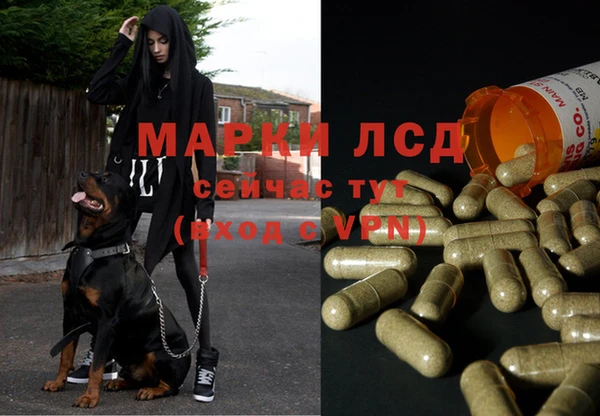 молекула духа Алзамай
