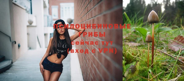 дурь Алексеевка
