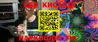 ECSTASY Гай