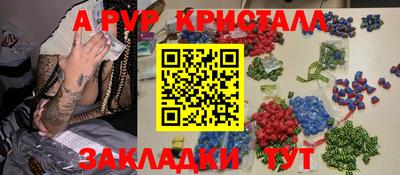 ECSTASY Гай