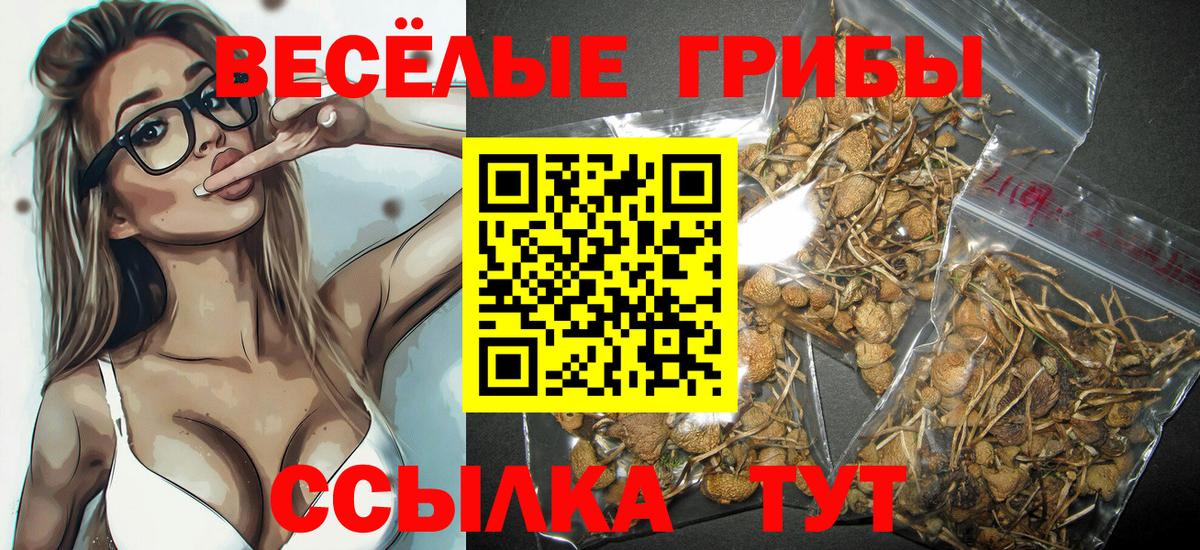 Псилоцибиновые грибы мицелий Петрозаводск