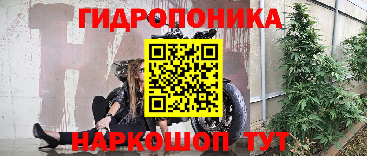 Канабис тримм  Вход с VPN  Шишки марихуана сатива  Петрозаводск  Конопля индика 